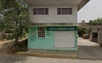 Clínica Veterinaria Amaxac