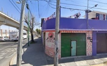 Clínica veterinaria 