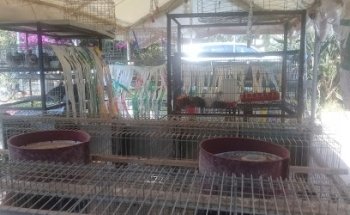 Veterinaria de La Rosa