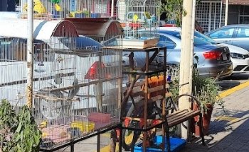 Xzootic tienda de mascotas