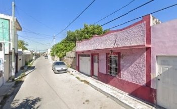 Canino's pet eduardo palomo veterinario