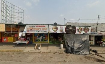 CLÍNICA VETERINARIA DOGTOR'S CAT