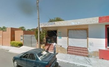 Veterinaria Miguel Angel