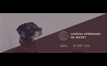 Hospital Veterinario del Dr. Mickey