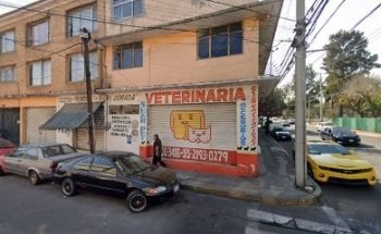 Veterinaria SHARPEI