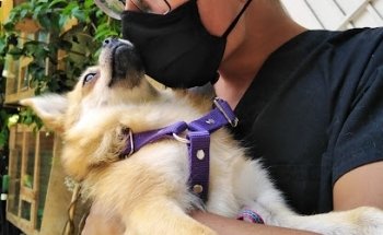 Veterinaria tumbi axuni