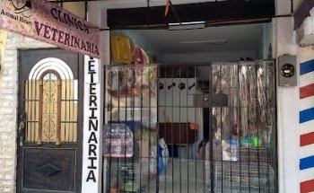 Veterinaria animal heart