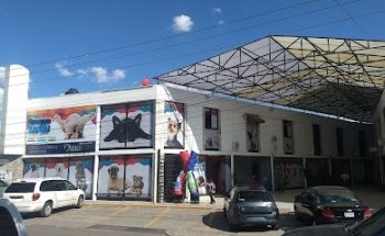 Dinavet Croquetería Villas de Irapuato