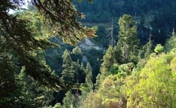 Veterinaria El Casco