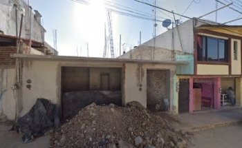 Pets Shop Hakuna Matata