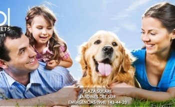 Kolitas Veterinaria Cancún