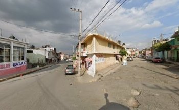 ESTETICA CANINA Y ACUARIO