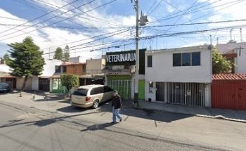 Veterinaria Dr. Dolittle