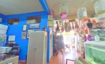 Veterinaria el corral