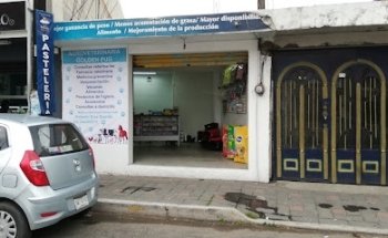 Veterinaria Golden Pug