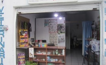 Consultorio Veterinario Consu Vet Gio