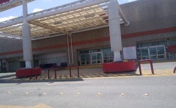 Veterinaria Peces Mascotas