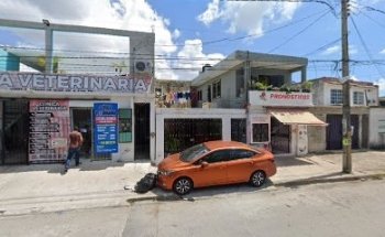 VETERINARIA CLINICA NICHUPTE