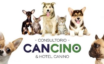 Cancino Consultorio Canino Suc. Cañada