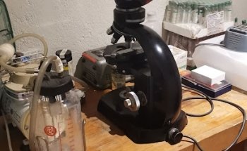 Clínica veterinaria Guau y Miau