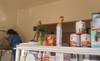 Veterinaria-estetica Fifirruchis