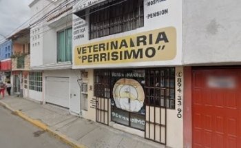 VETERINARIA