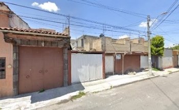 DermaVet (especialistas veterinarios)