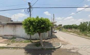 Veterinaria Gran Peque