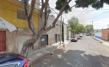 Veterinaria Di Mastino