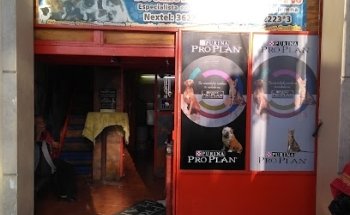 Clínica Veterinaria Dr. Julio Ojeda