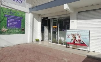 LoVet Lozada Veterinaria