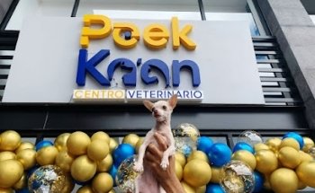 Centro Veterinario PEEK KA'AN