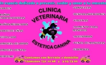 VETERINARIA RO+MA