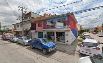 Kari veterinary Pari