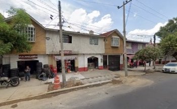 Apicola Veterinaria (Snoopy)