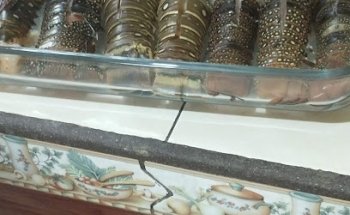 Veterinaria Mundo Salvaje