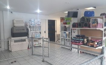 Clinica veterinaria Wolfy