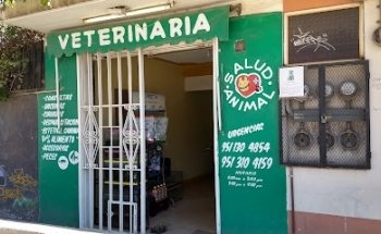 Veterinaria Salud Animal