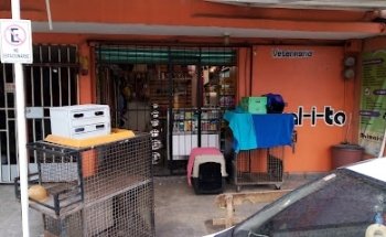 Veterinaria Animal-i-to