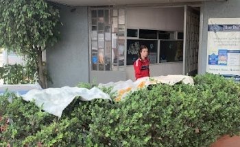 American Pets Center Veterinarians