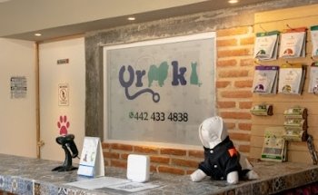 CLINICA VETERINARIA QROKI