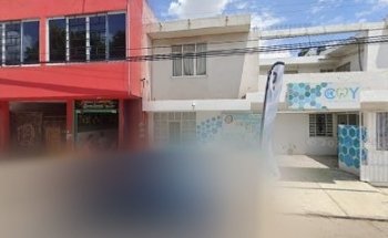 CLÍNICA VETERINARIA MS