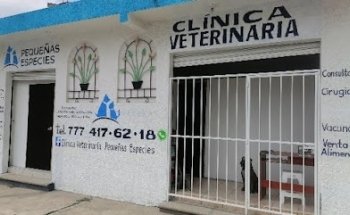 Clínica veterinaria pequeñas especies