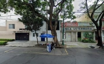 Dr. Obregón González Alberto