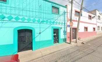 Veterinaria Perros Y Gatos