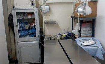 Veterinaria Amor a tu mascota