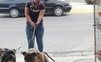 Veterinaria El Gallero