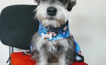 Servicio Médico Veterinario HAZEL