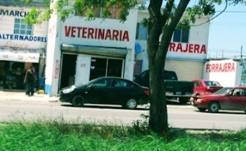 Veterinaria Santa Martha