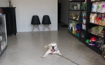 “Little Pets” Suc. Bosques de Chalco II